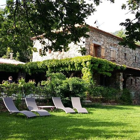 A Muvrella Bed & Breakfast Pioggiola ภายนอก รูปภาพ