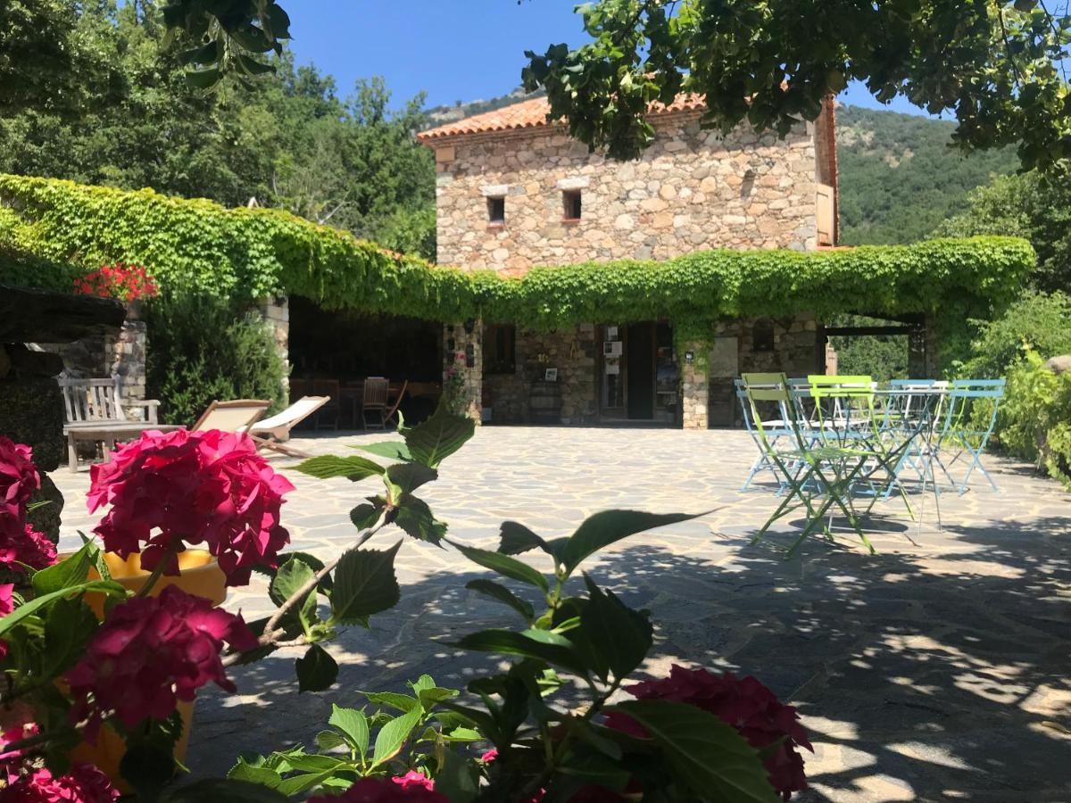 A Muvrella Bed & Breakfast Pioggiola ภายนอก รูปภาพ