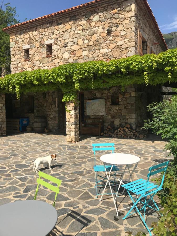 A Muvrella Bed & Breakfast Pioggiola ภายนอก รูปภาพ