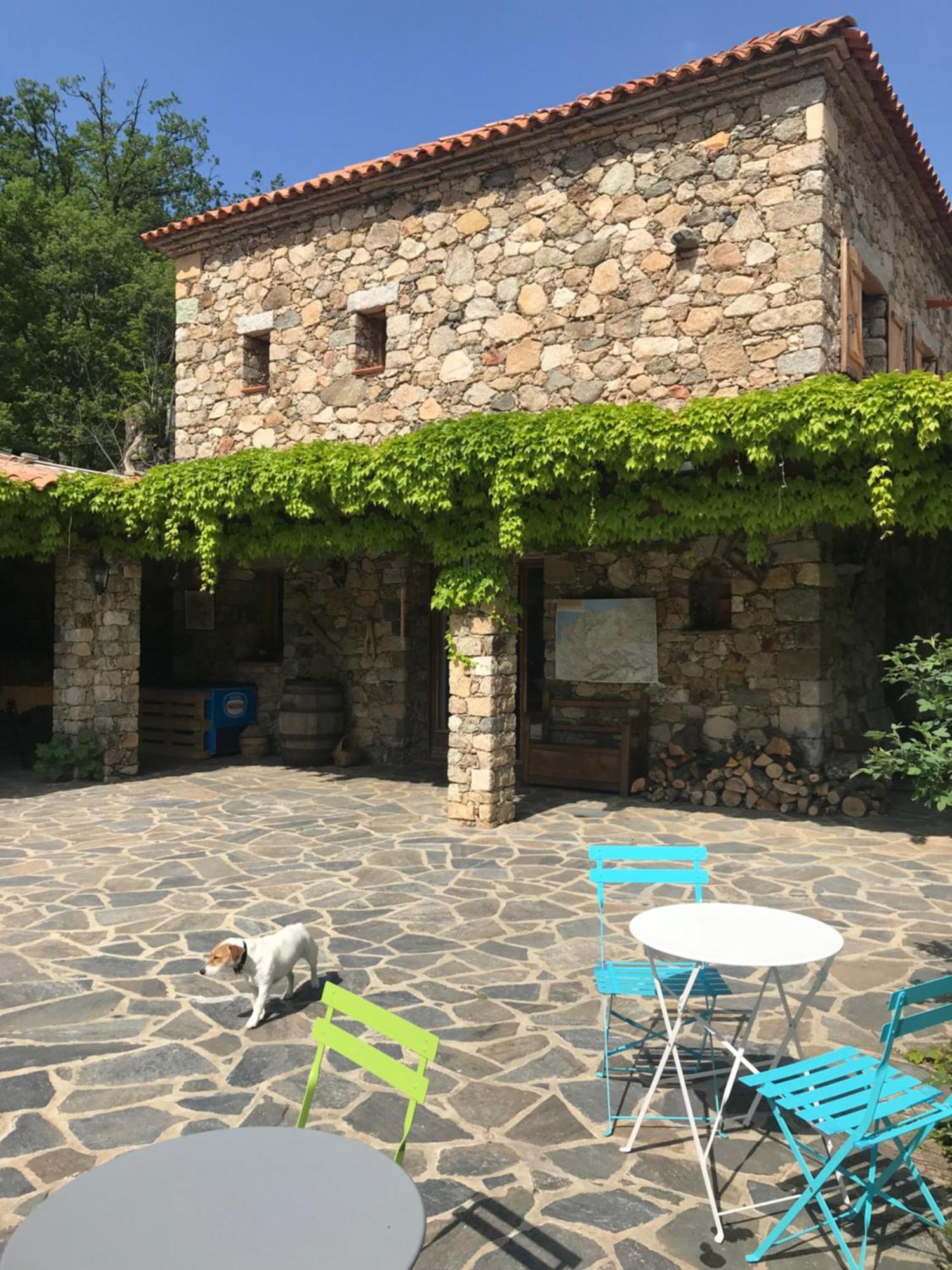 A Muvrella Bed & Breakfast Pioggiola ภายนอก รูปภาพ
